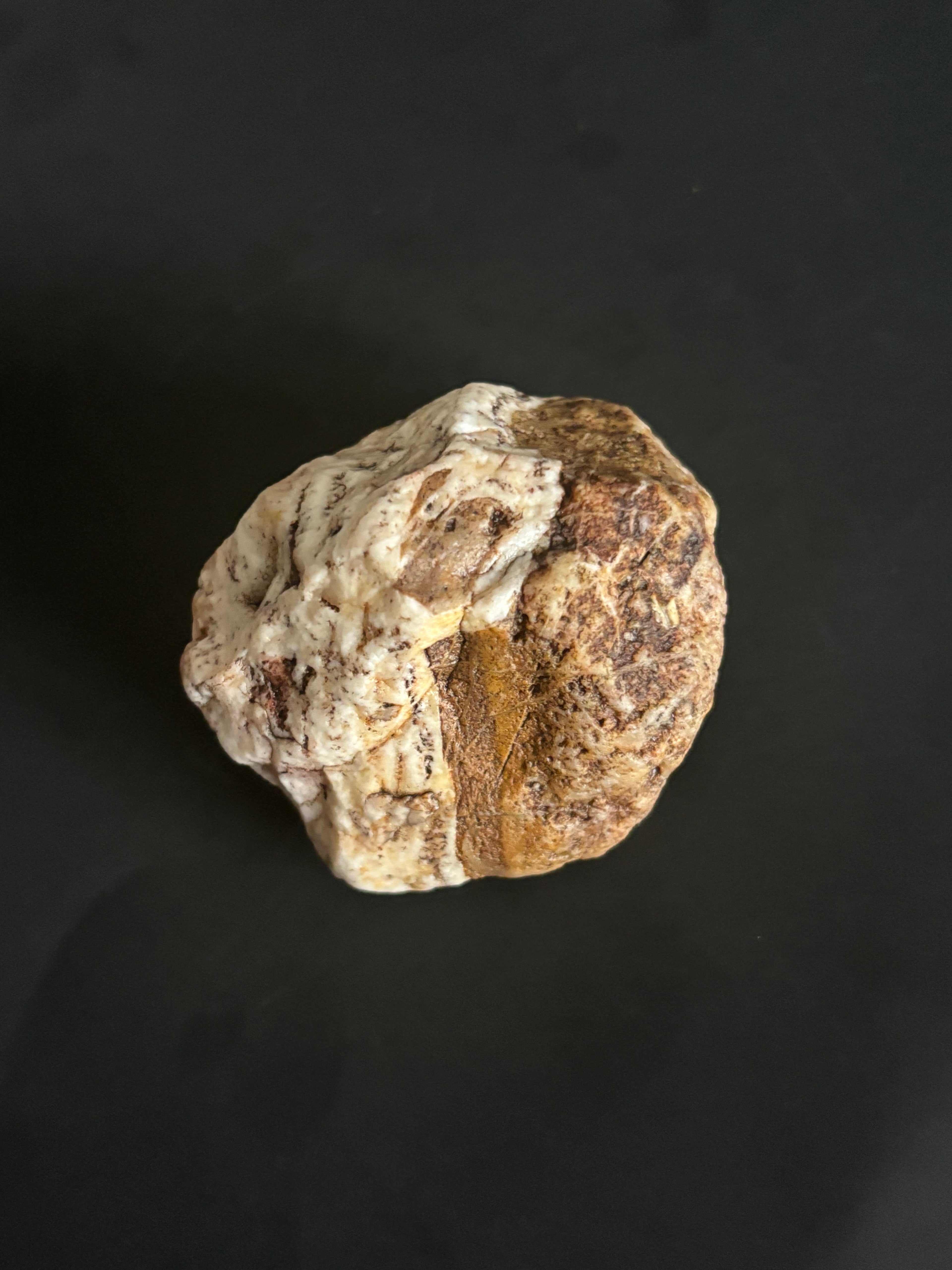 Cave Corral Rock - White & Gold Mineral Specimen