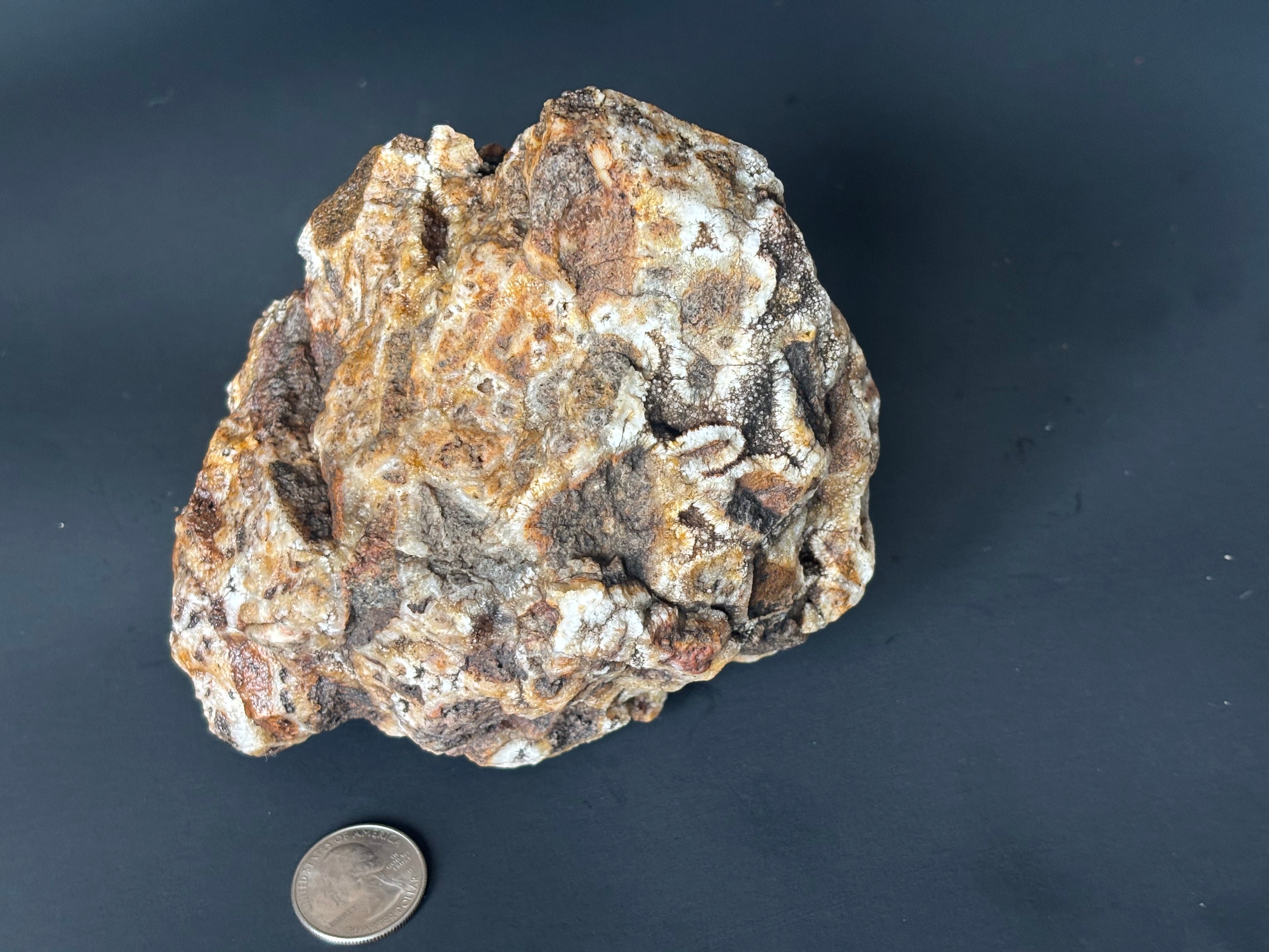 Rare Cave Coral Stone – Grounding Crystal, Intuition Healer