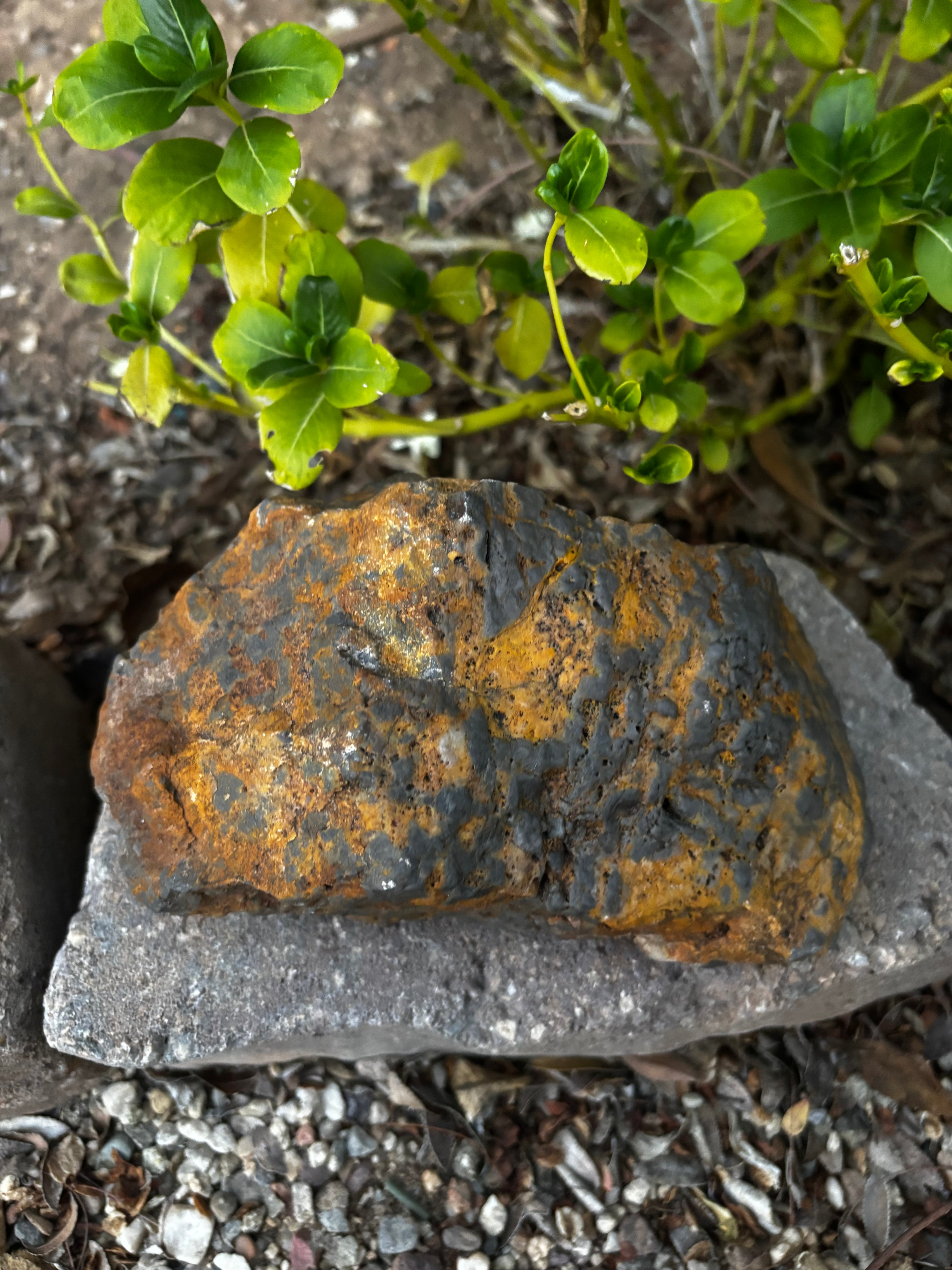 Starry Specular Hematite Stone