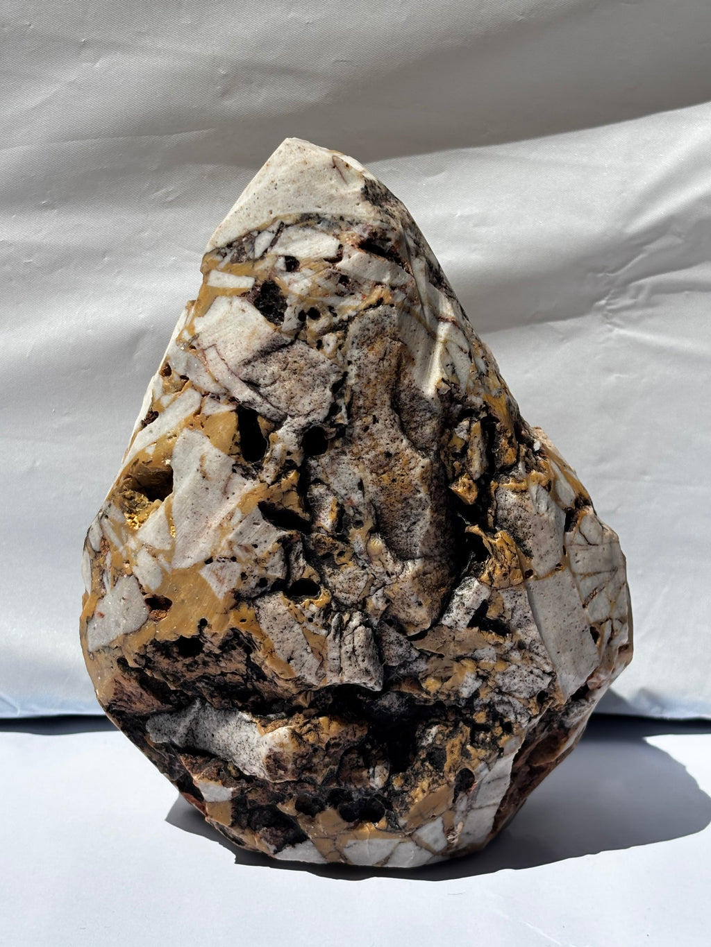 Shaped Limestone Shielding a Marine Life Bone