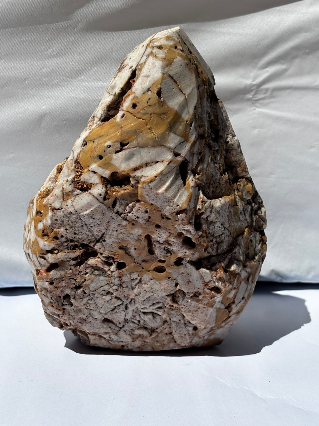 Shaped Limestone Shielding a Marine Life Bone