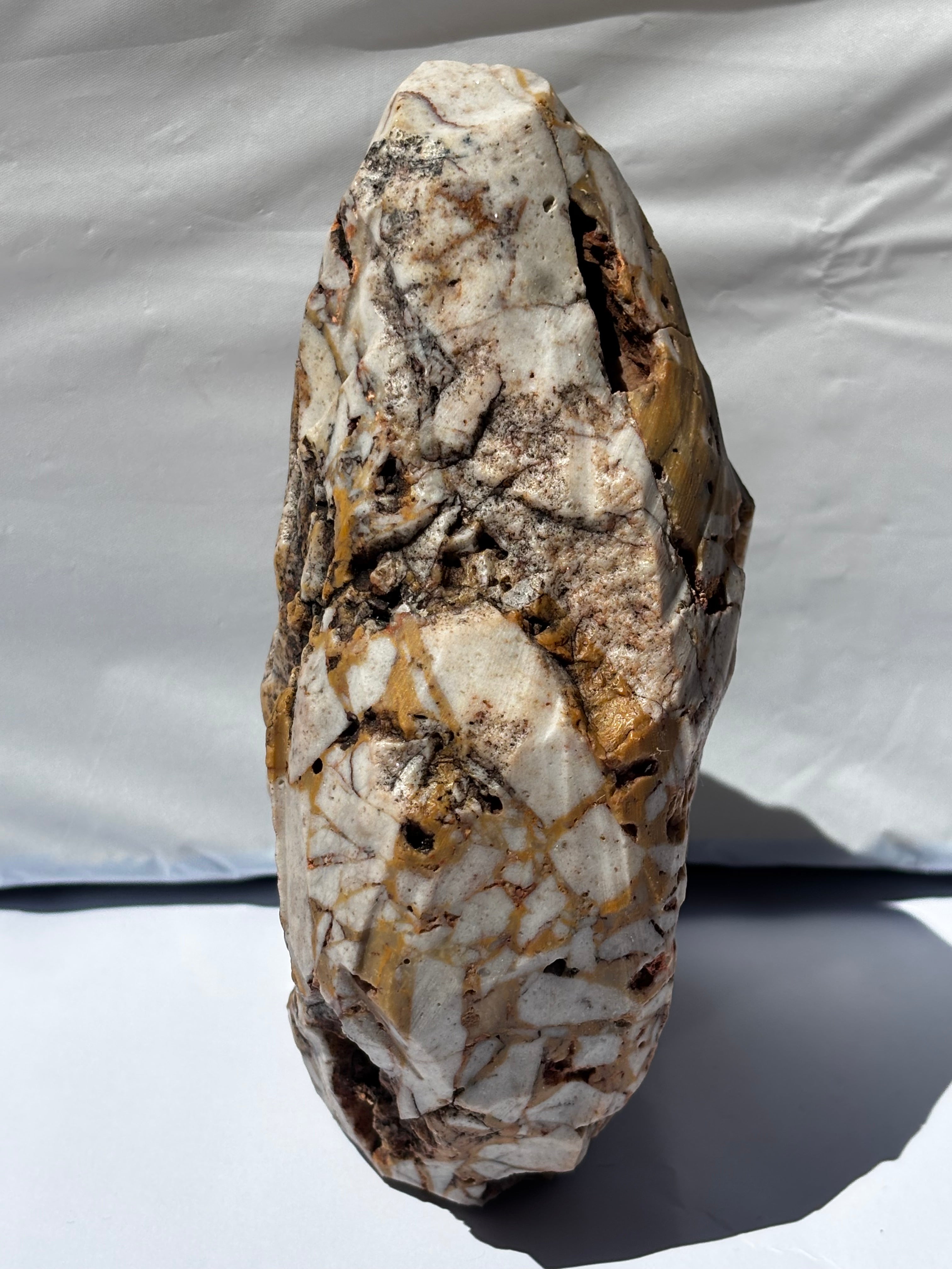 Shaped Limestone Shielding a Marine Life Bone