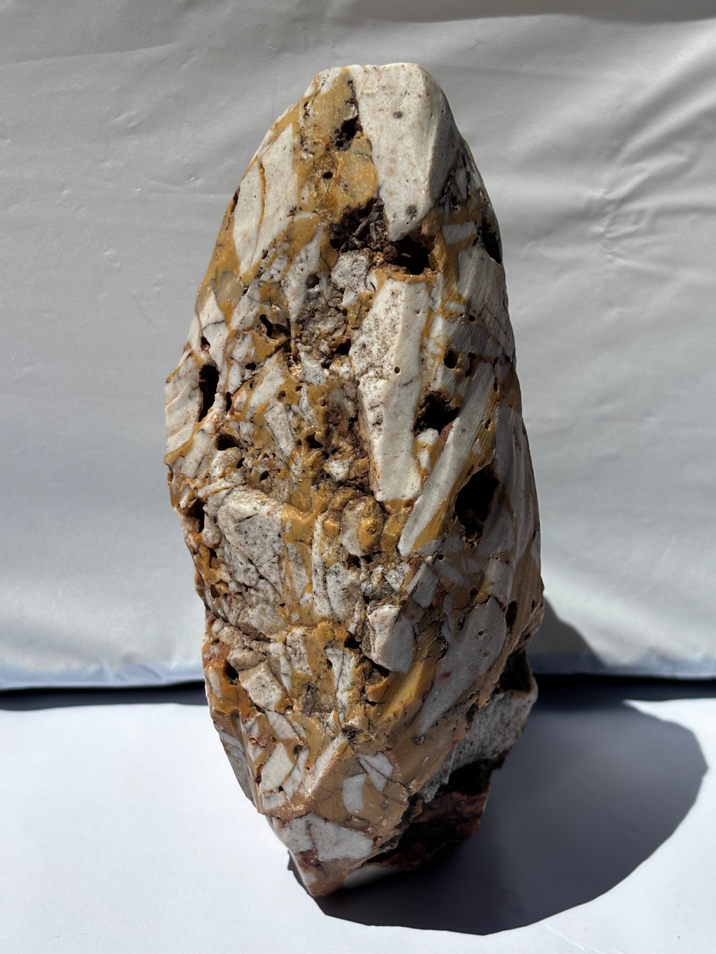 Shaped Limestone Shielding a Marine Life Bone
