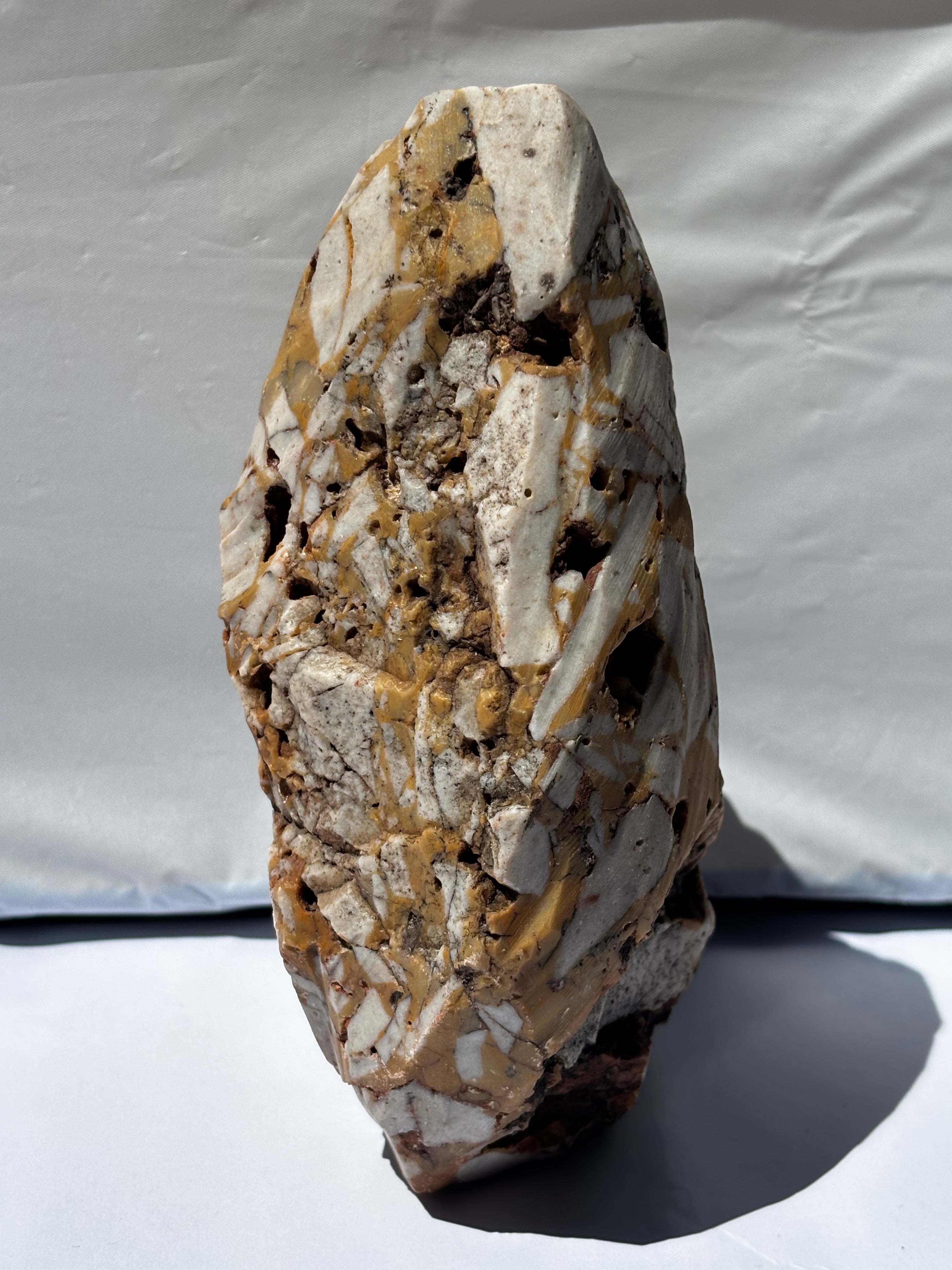 Shaped Limestone Shielding a Marine Life Bone