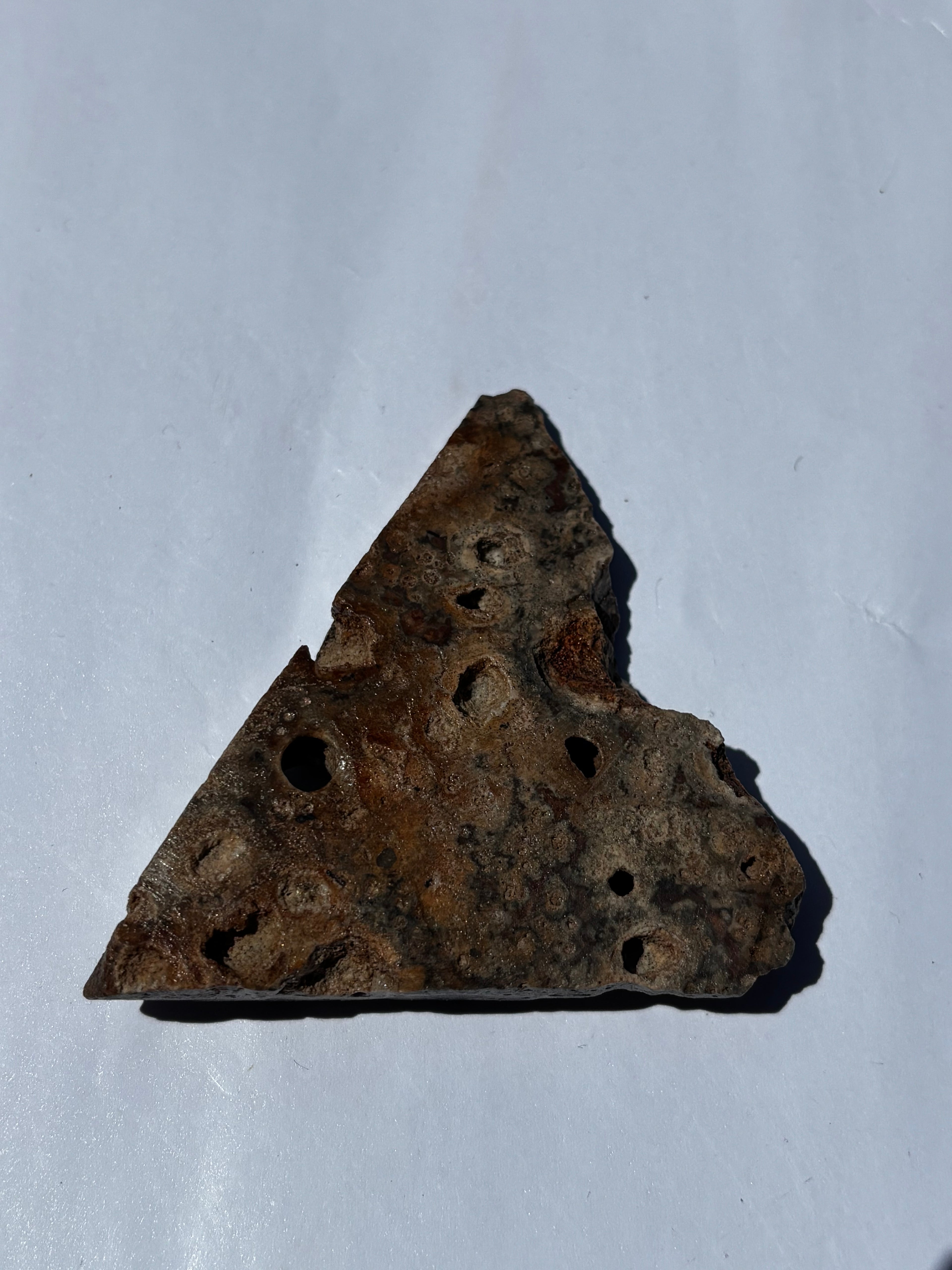 Iron Rich Chert Matrixed Magenese-Triangle