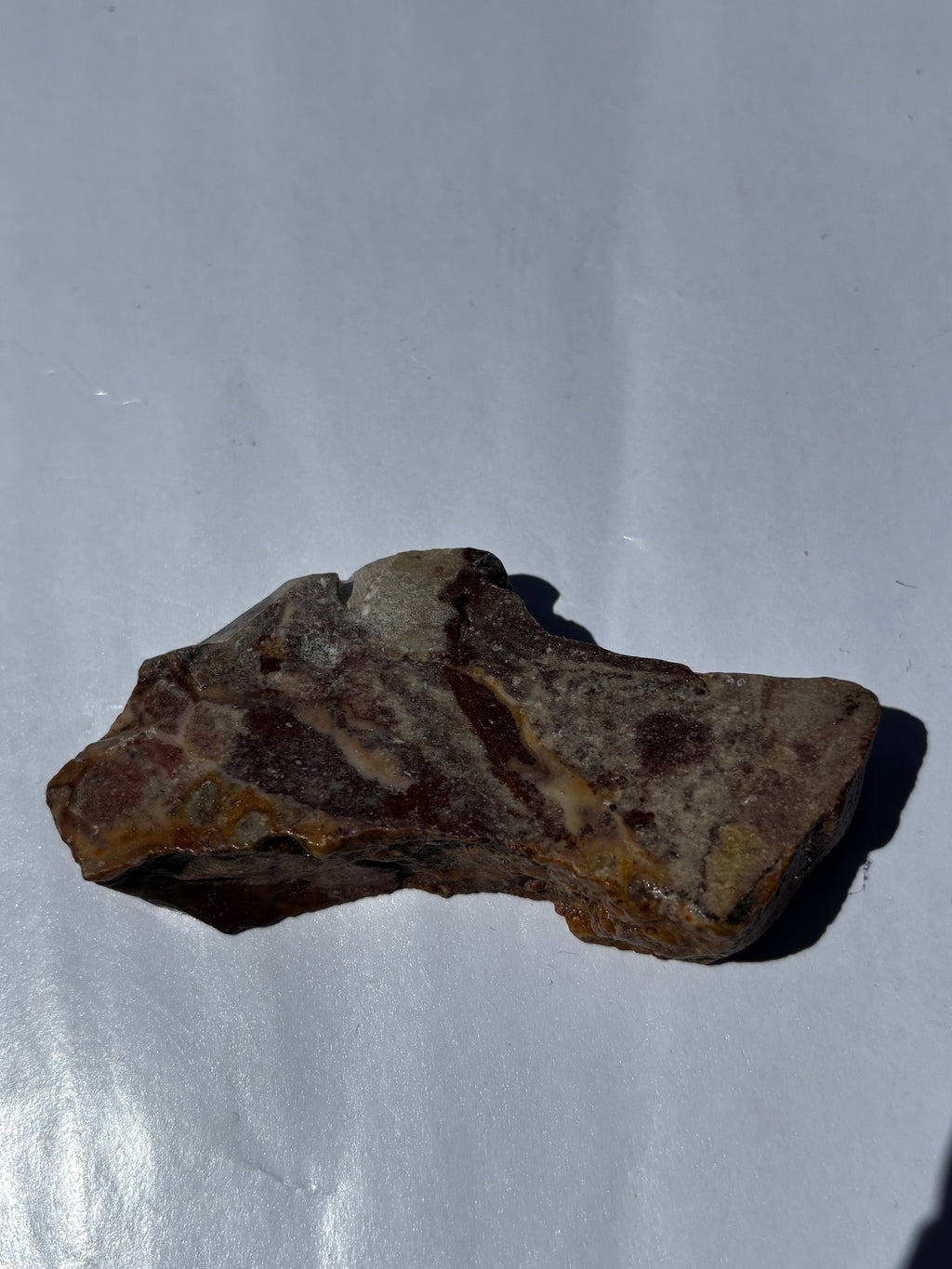 Eye Jasper-Fish