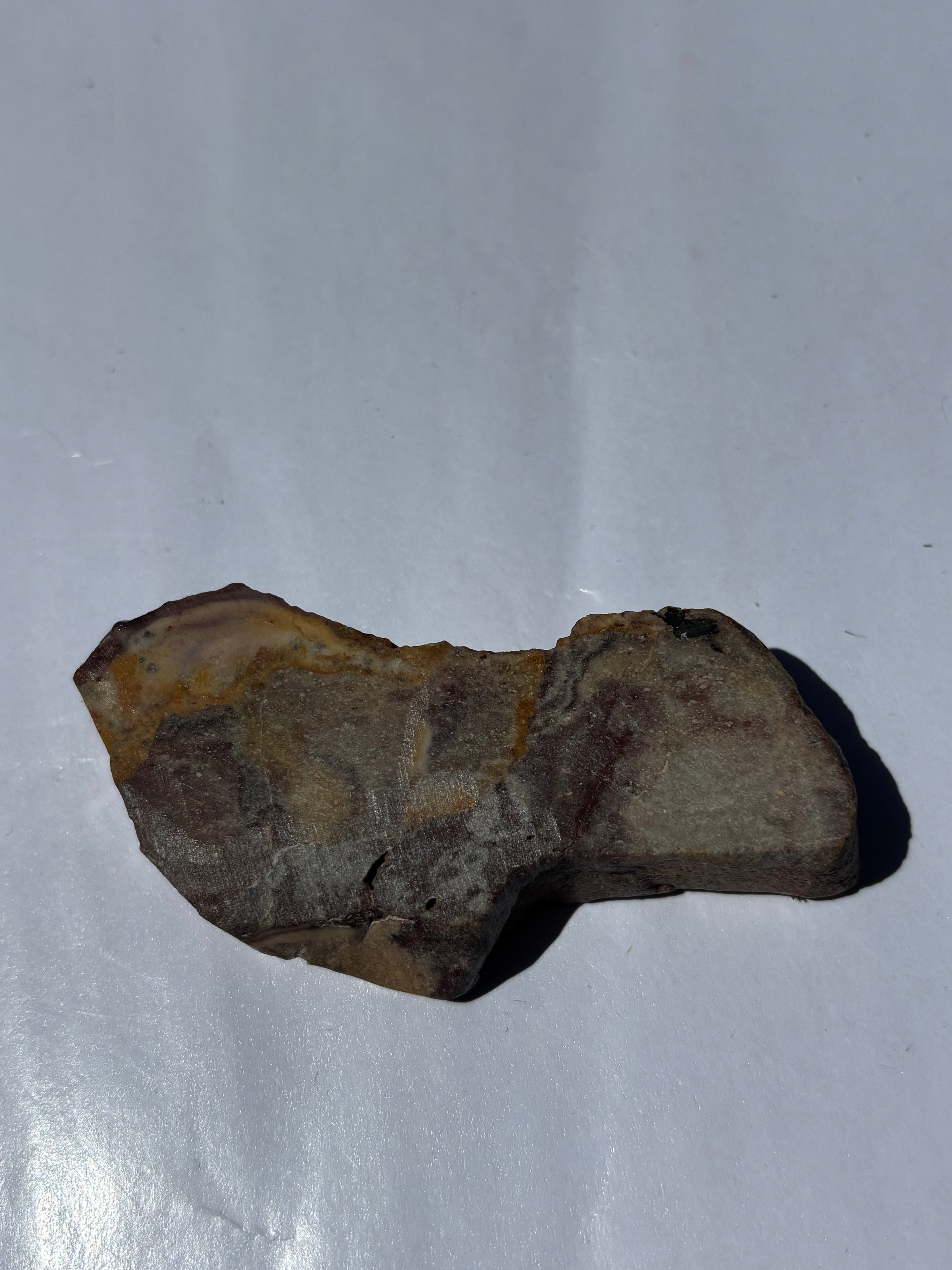 Eye Jasper-Fish