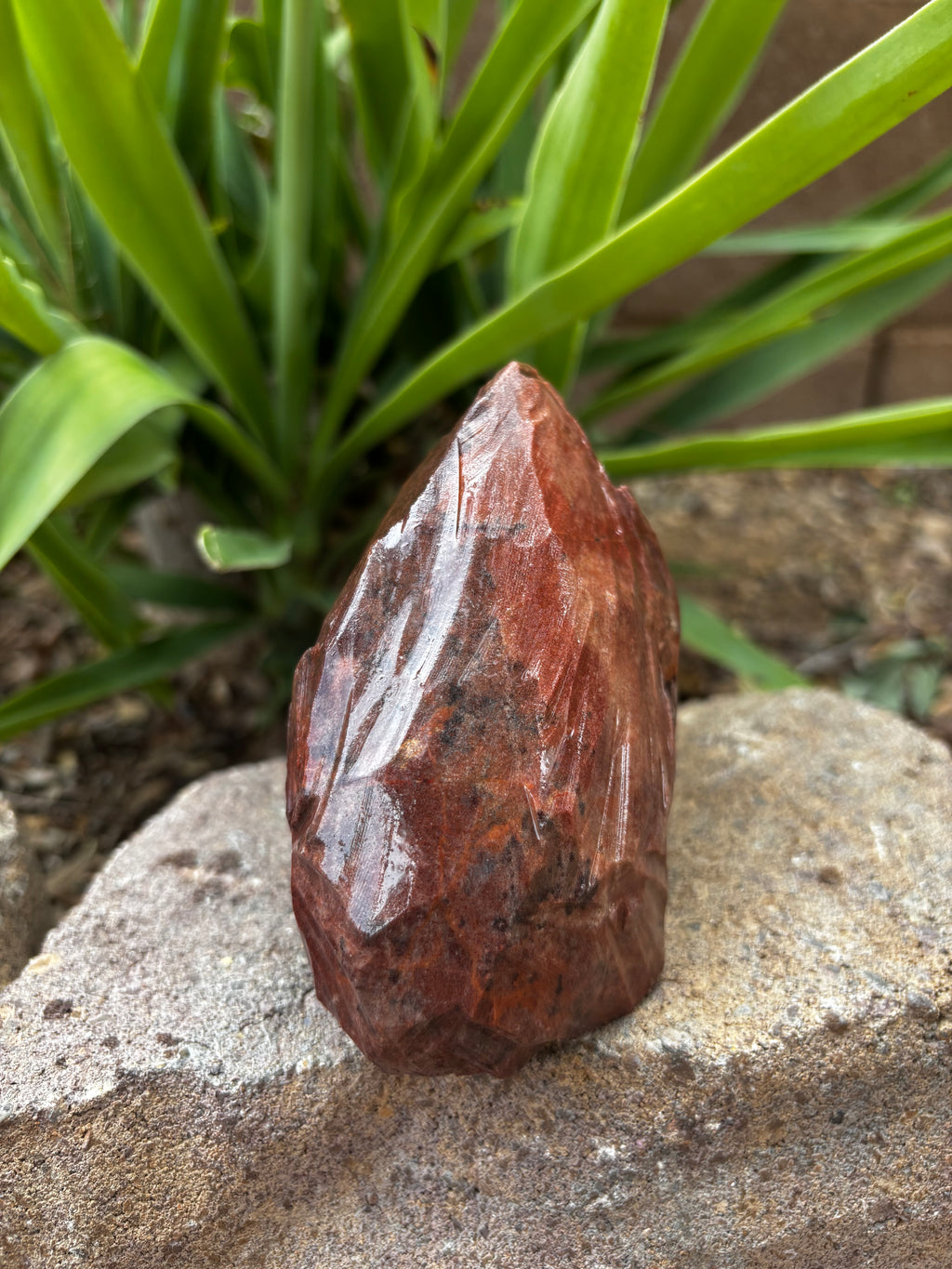 Red Jasper Chert-Mountain