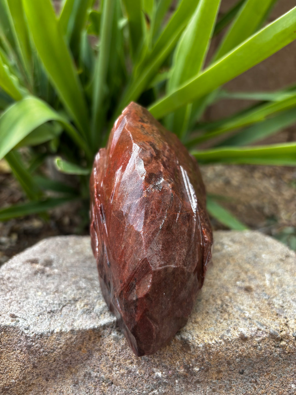 Red Jasper Chert-Mountain