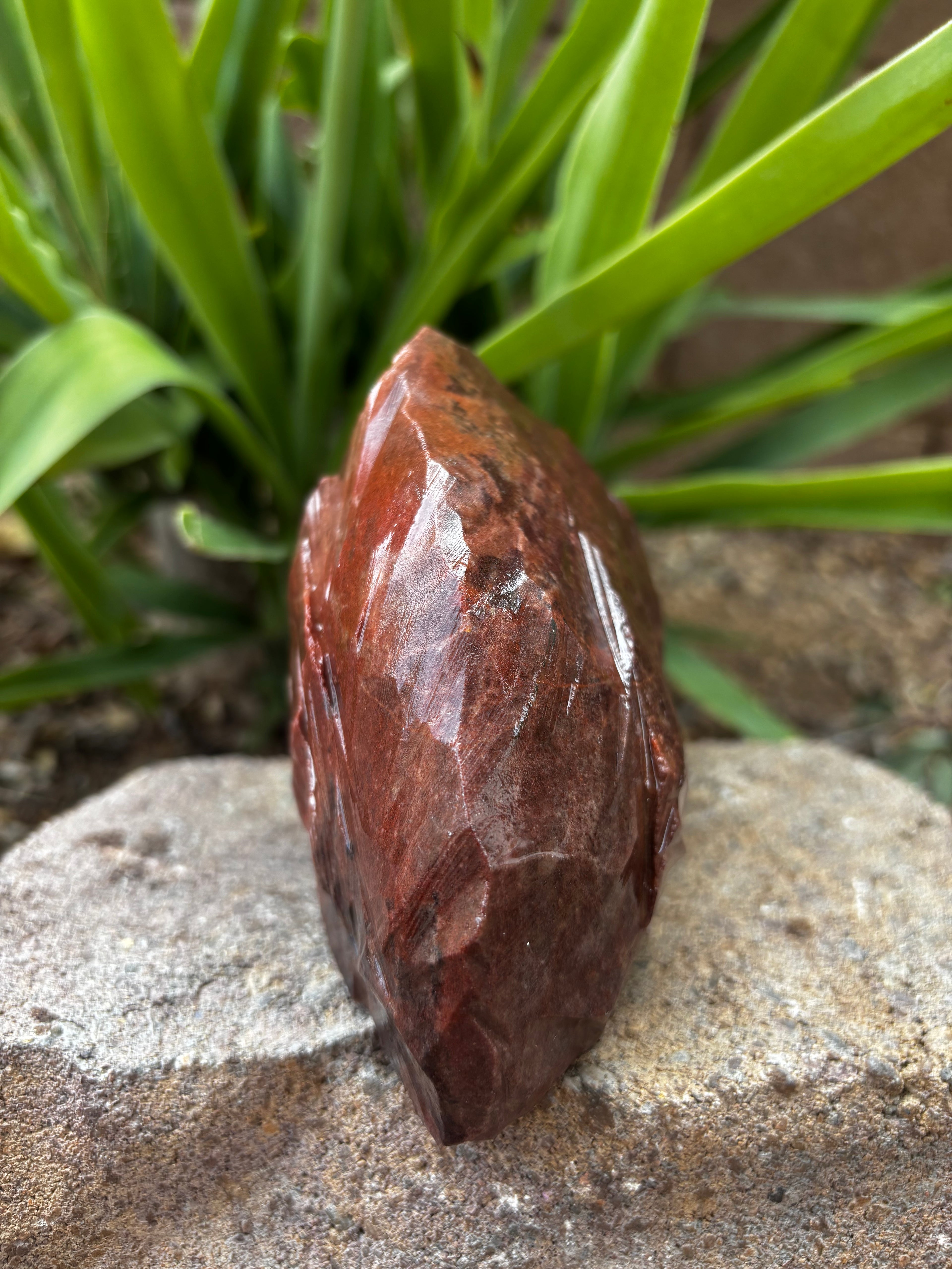 Red Jasper Chert-Mountain